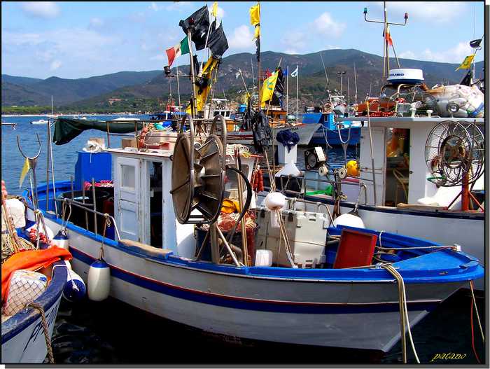 patano