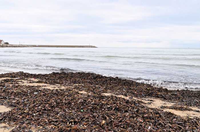 © Ra Boe  Wikipedia