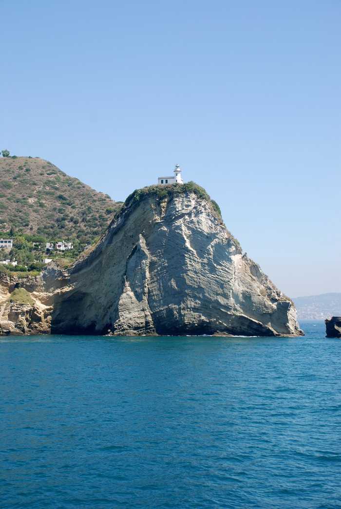 YellowCat from Roma Italy