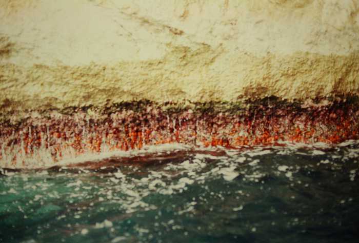 Gary Todd from Xinzheng China