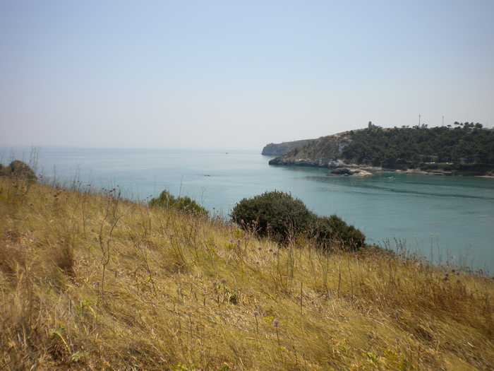 ildirettore