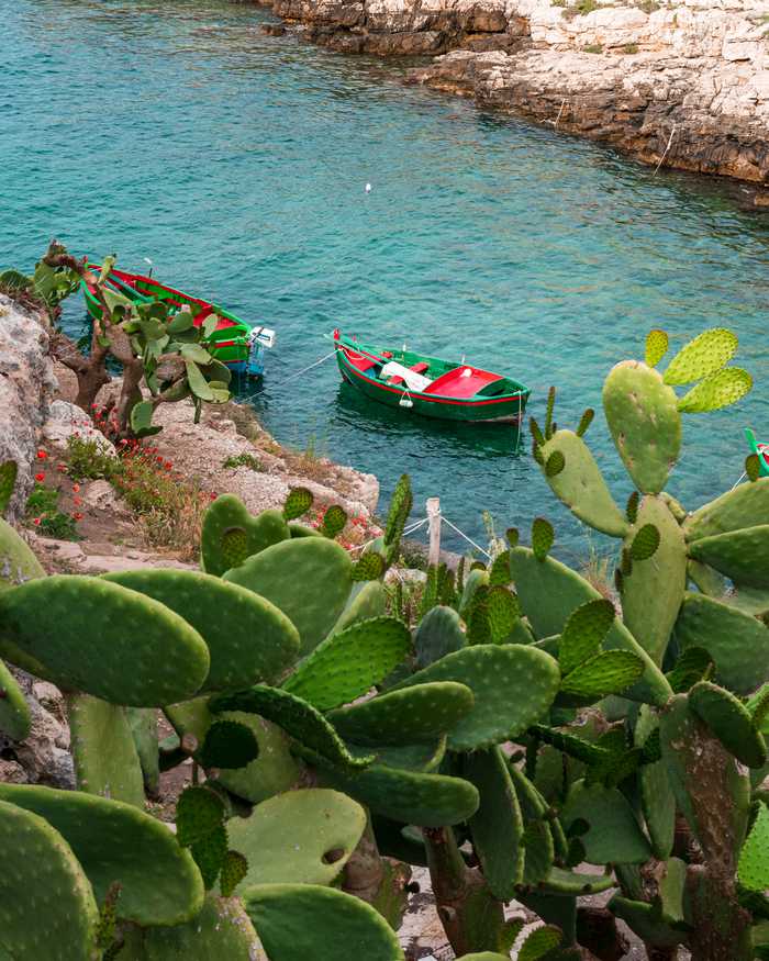 Frankthroughtheglass