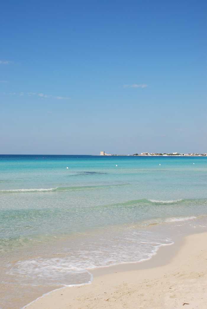 YellowCat from Roma Italy