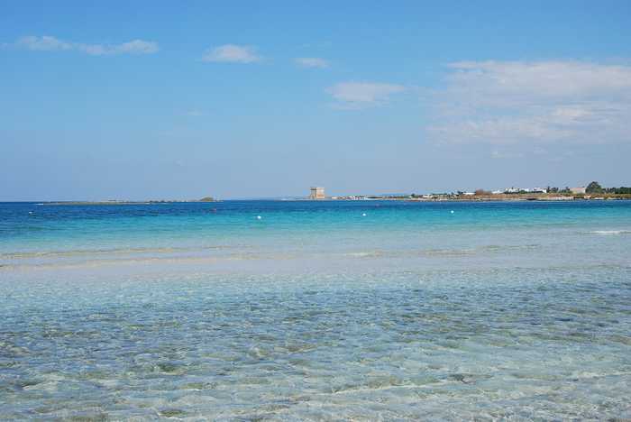 YellowCat from Roma Italy