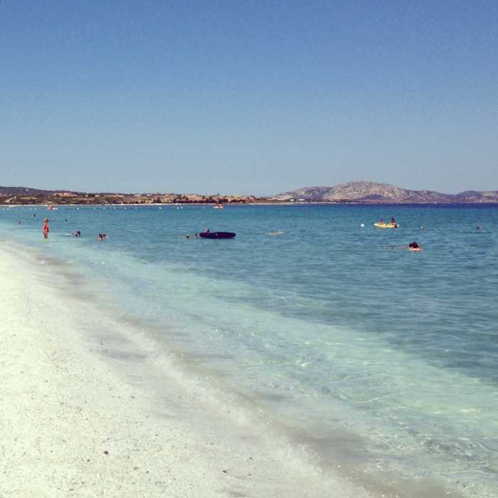 Silvia Franceschetti