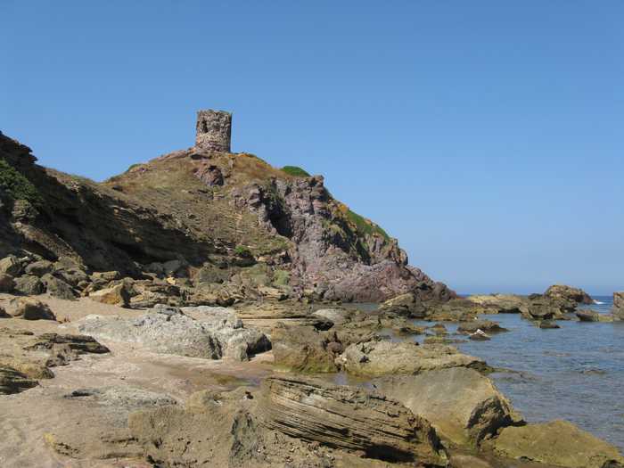 fadda  domenico ange