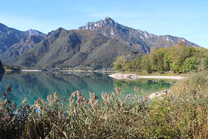 Niederkasseler