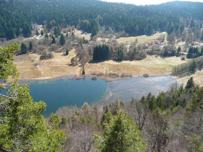 Alessandro Gigliotti