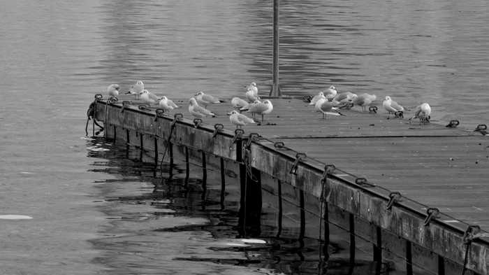 Irene Grassi from Italy