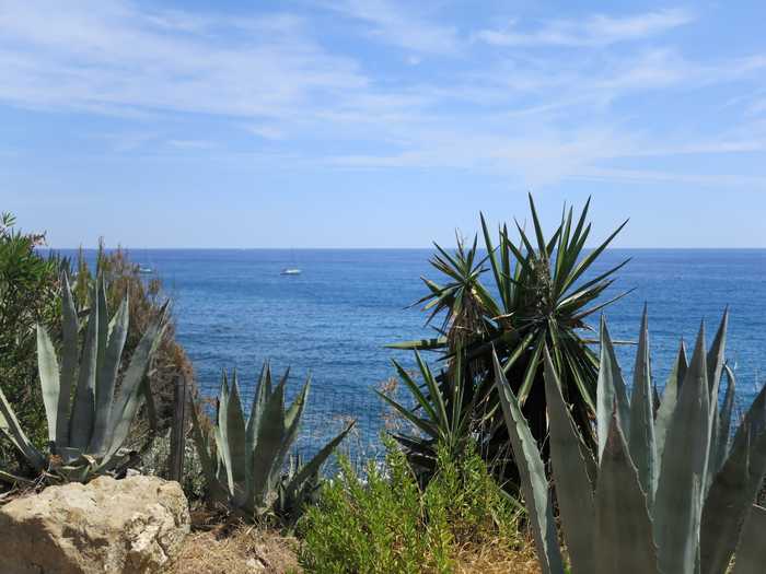 Michael Schmalenstroer