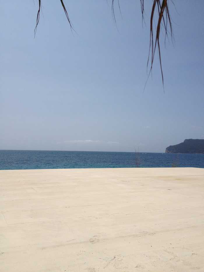 Silvia Franceschetti